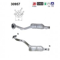 30957 AS Катализатор