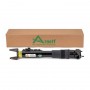 SK-3217 ARNOTT Амортизатор