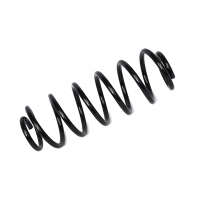 75893 ASAM Пружина ходової частини