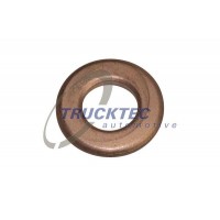 02.10.079 TRUCKTEC AUTOMOTIVE Шайба тепловий захист система вприскування