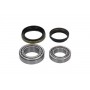 WBK-6520 KAVO PARTS Комплект підшипника ступиці колеса