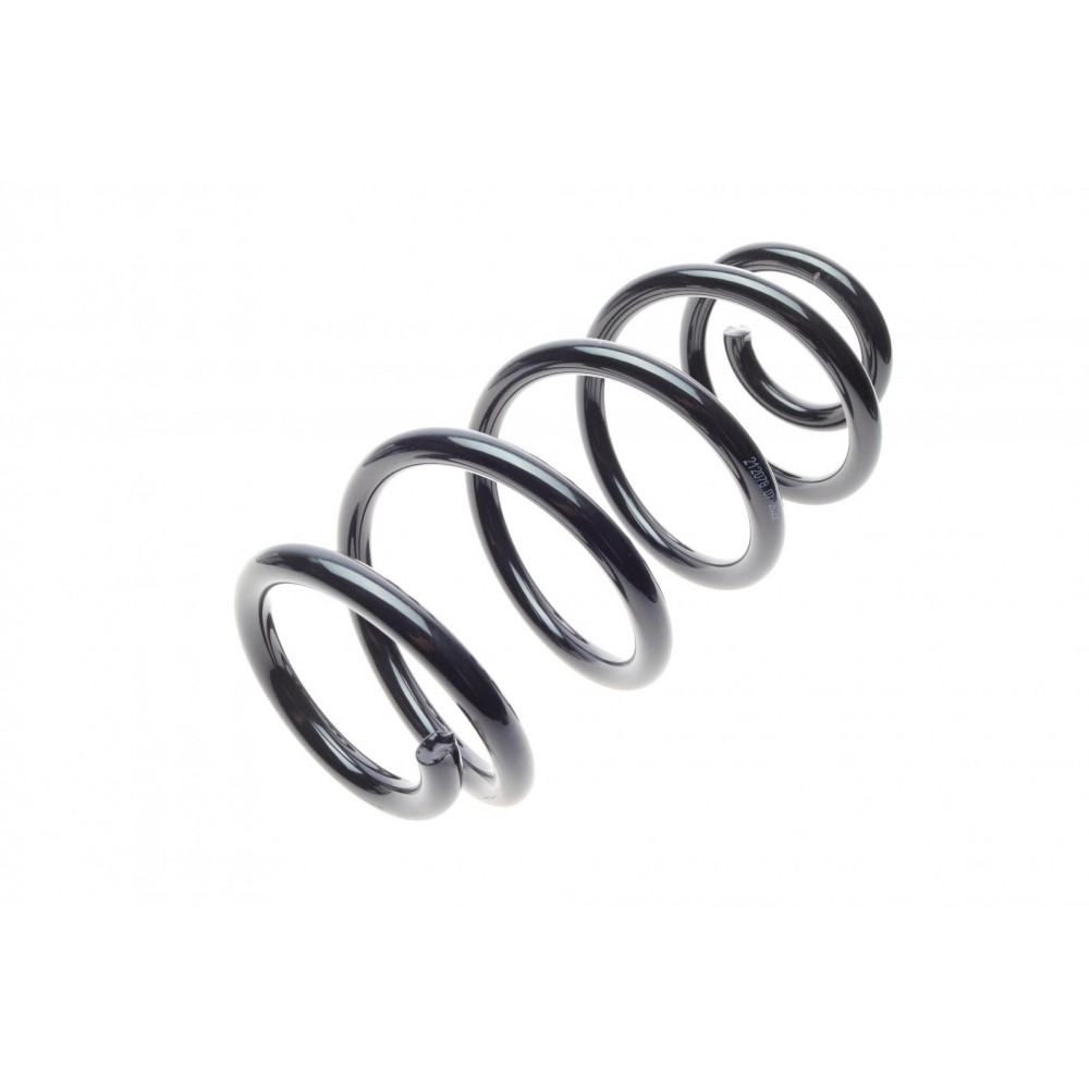 Пружина (задня) Dacia Logan MCV/Express 1.4//1.5dCi/1.6/16V/BiFuel/MPI 07- (фургон/універсал)