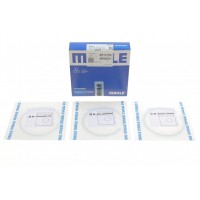 081 RS 00109 0N0 MAHLE Комплект поршневих кілець