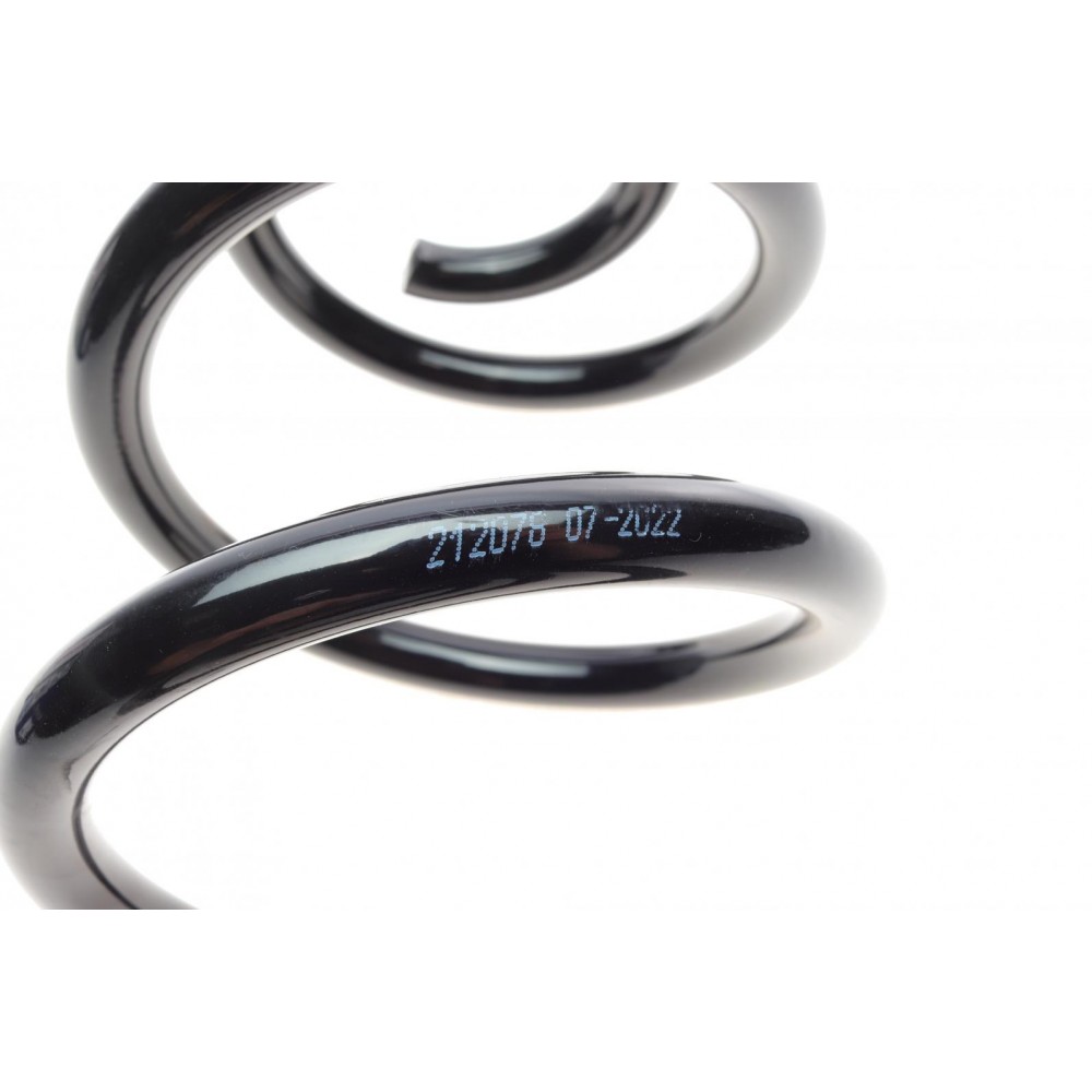 Пружина (задня) Dacia Logan MCV/Express 1.4//1.5dCi/1.6/16V/BiFuel/MPI 07- (фургон/універсал)