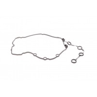 735.700 ELRING Прокладка, Кришка головки циліндра