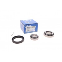 GK0523 GSP Комплект підшипника ступиці колеса