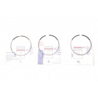 Кільця поршневі Citroen Jumper/Peugeot Boxer/Expert 1.9TD (83.50mm/+0.5) (3.5-2-3) = 8937295000