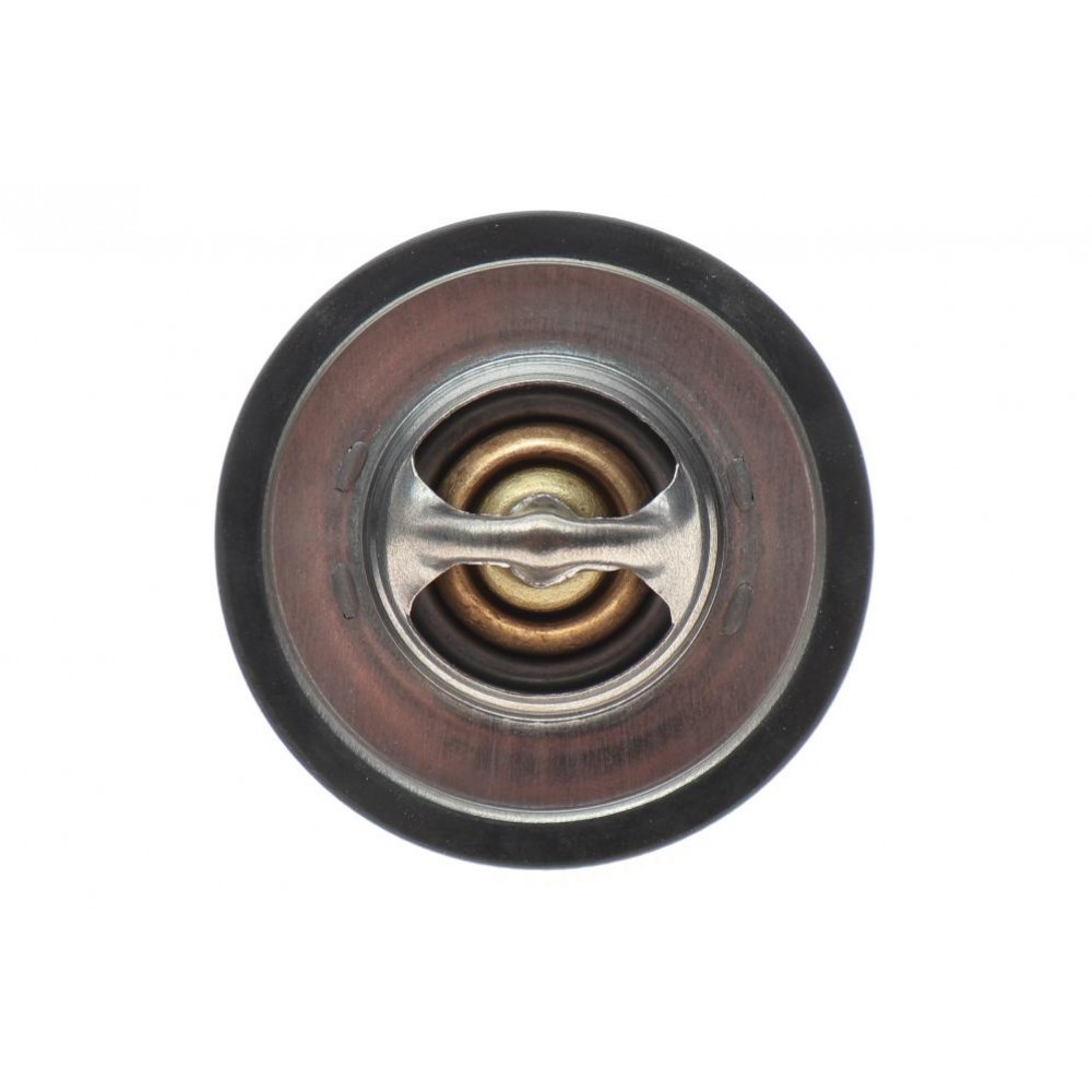 Термостат Citroen Jumper/Peugeot Boxer 2.8 HDi 99-06 (82°C)