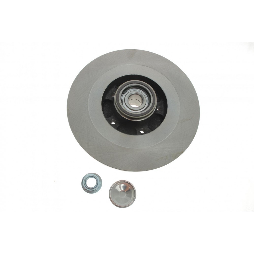 Диск гальмівний (задній) Renault Scenic III 2.0dCi 09- (290х11) (+ABS) (з підшипником)