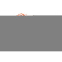 176438 FEBI BILSTEIN Комплект підшипника ступиці колеса