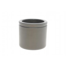 Поршень супорта (переднього) VW Passat 08-14 (60x53.5mm) (TRW)