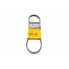 Ремінь генератора Citroen Jumper 1.9TD 94-02 (ALT) Ремінь генератора Citroen Jumper 1.9TD 94-02 (ALT)
