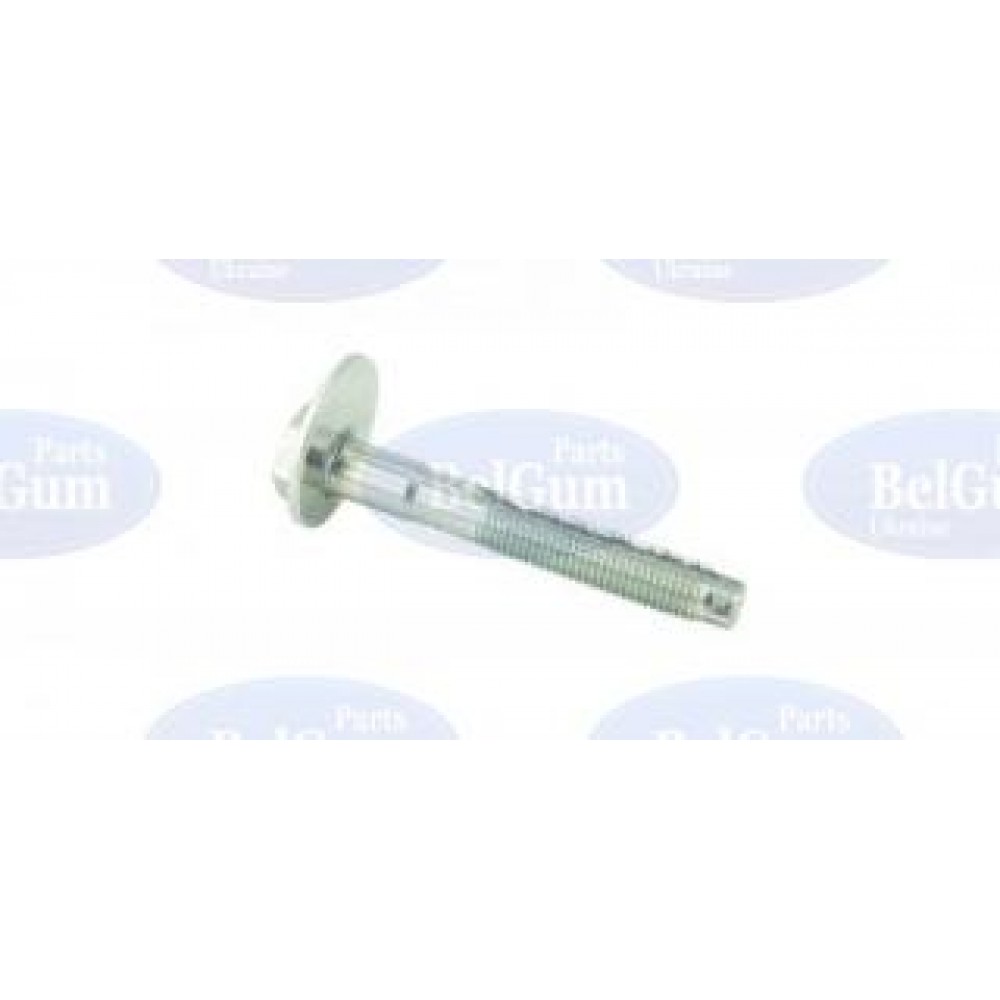 Болт важеля (заднього/зверху) VW Tiguan/Sharan 1.4/1.9/2.0 TDI 03-10 (M12) (розвальний)