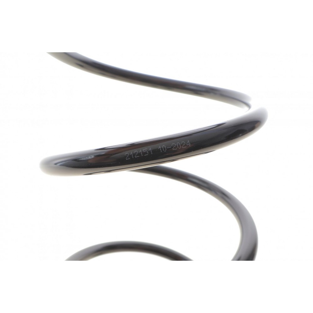 Пружина (передня) Renault Scenic III/Grand Scenic III 1.5dCi/1.6dCi/1.9dCi/2.0 16V 09-