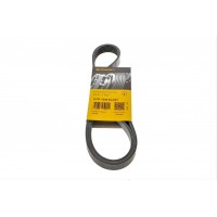 Ремінь генератора Ford Focus 1.8/2.0 04-12 (6PK1249)