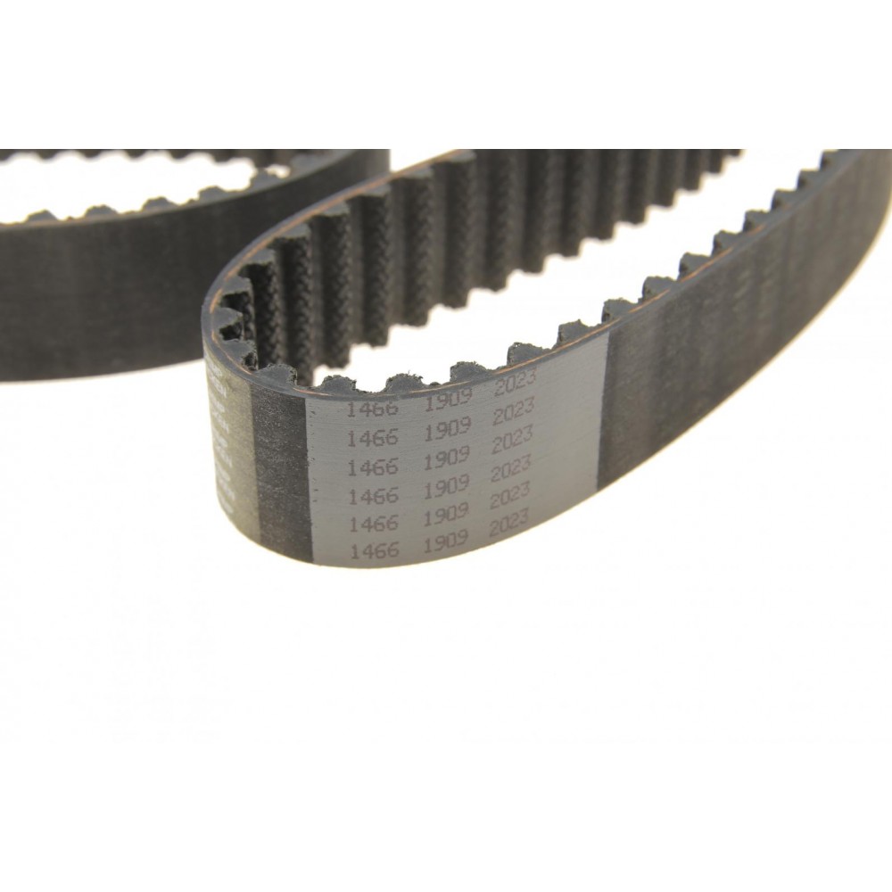 Комплект ГРМ Land Rover Discovery/Range Rover 3.0TD 09- (29x195z)