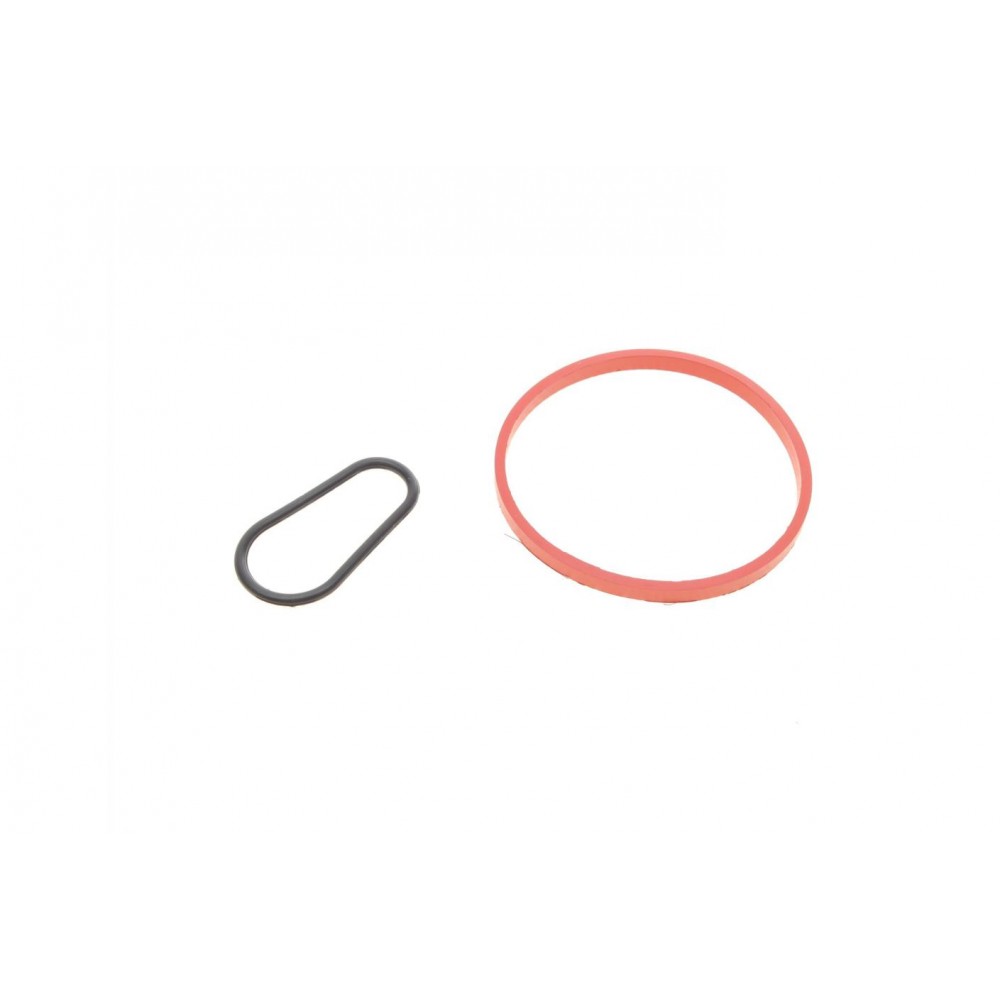 795.110 ELRING Комплект прокладок вакуумний насос