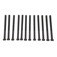 Болти головки (к-кт 12шт.) VW T5 2.5TDI, AXE/BPC/BLJ/AXD/BNZ