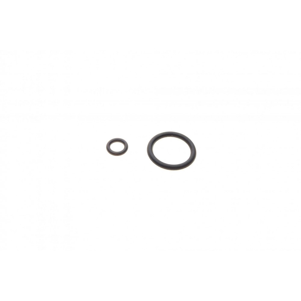 Ремкомплект супорта (заднього) Nissan Cabstar/NT400 06-  (d=46) (Brembo) (+поршень)