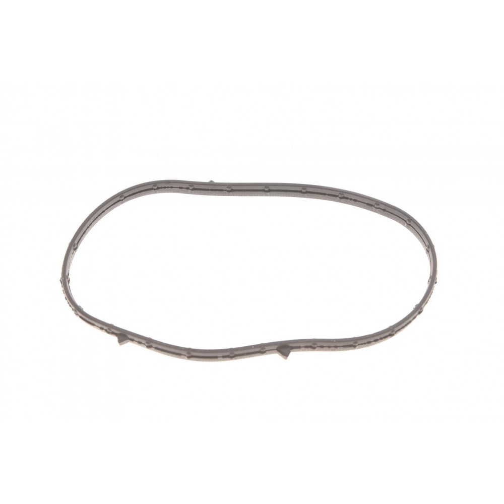 Заглушка ГБЦ Iveco/Fiat Ducato 2.3JTD 06- (для розподільного валу)/(задня з прокладкою)