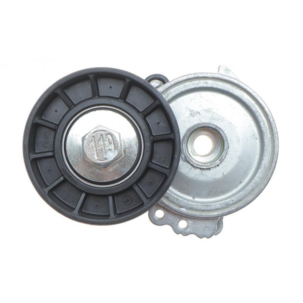 Комплект ременя генератора Citroen Jumpy/Fiat Scudo/Peugeot Expert 2.0HDi  04- (6PK1215)