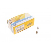 009461100000 MAGNETI MARELLI Лампа розжарювання, oсвітіння салону