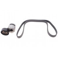 Комплект ременя генератора Renault Kangoo 1.5dCi 08- (6PK1200)