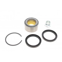 R18109 SNR Комплект підшипника ступиці колеса