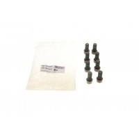 1874 000 018 SACHS Комплект болтів маховик