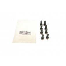 1874 000 018 SACHS Комплект болтів маховик
