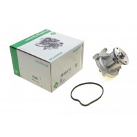 538 0113 10 INA Водяний насос охолодження двигуна