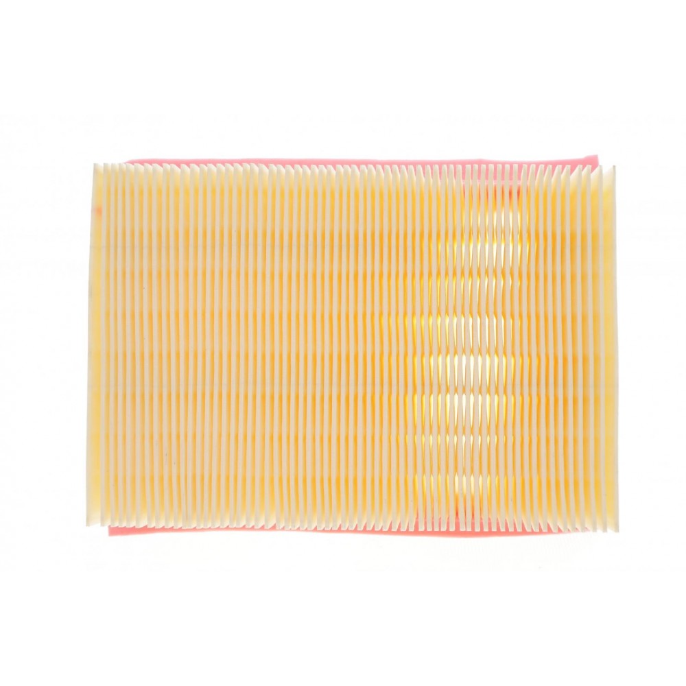 Фільтр повітряний Ford Kuga II 2.5 13-