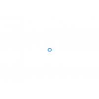 Прокладка форсунки ущільнююча Ford Connect 1.8TDCI 02- (кільце на злив)