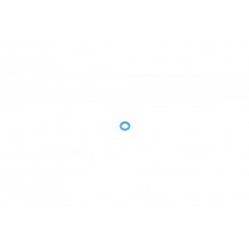 Прокладка форсунки ущільнююча Ford Connect 1.8TDCI 02- (кільце на злив)