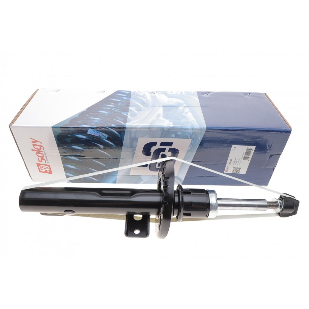 Амортизатор (передній) VW Polo/Skoda Fabia 99-/Roomster 06- (Газ)