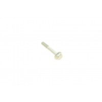 Болт (M8x1,25x50 мм)