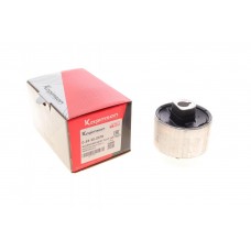 Сайлентблок важеля (переднього/знизу) Renault Scenic IV/Megane IV 15-