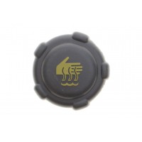 Кришка бачка розширювального Renault Kangoo/Trafic 01-