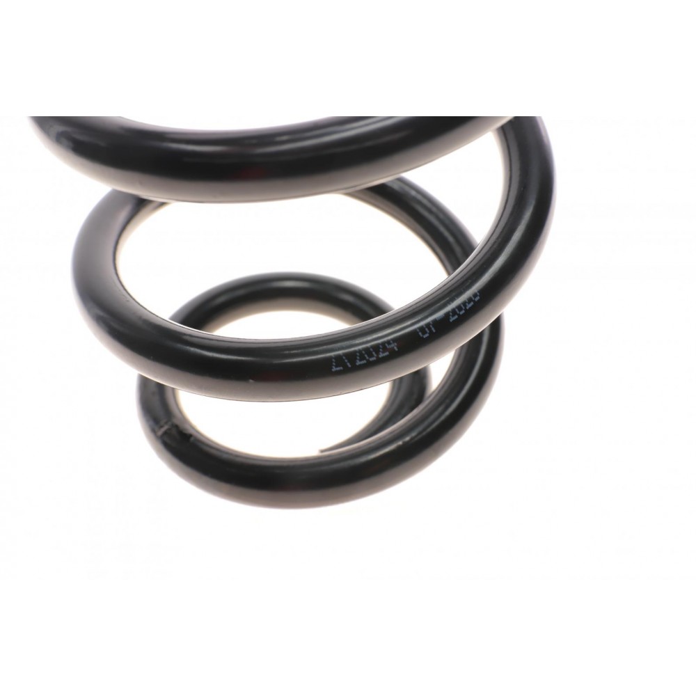 Пружина (задня) Renault Megane II 1.4-2.0/1.5dCi/1.9dCi 03-11 (універсал)