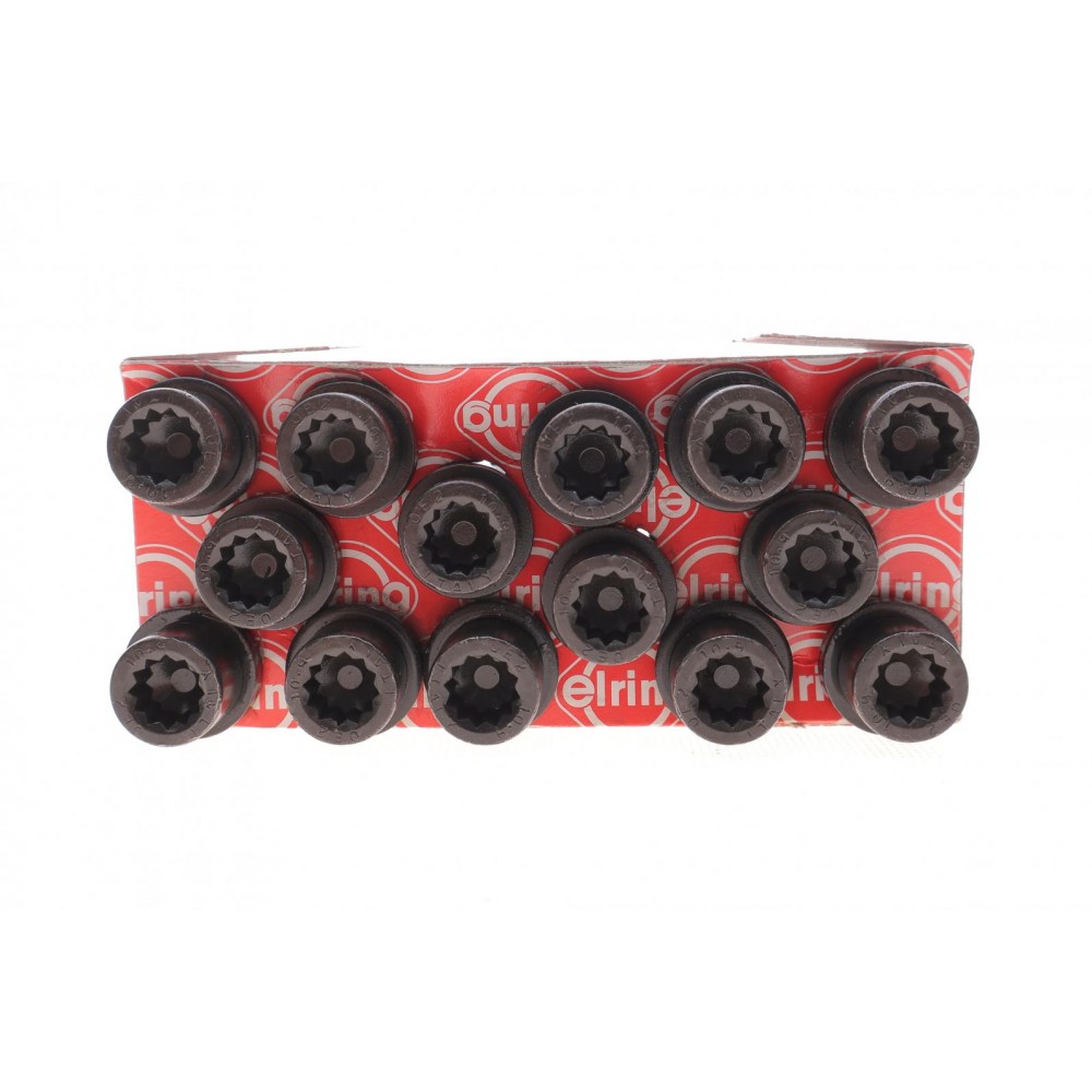 Комплект болтів головки циліндра ELRING 819.891