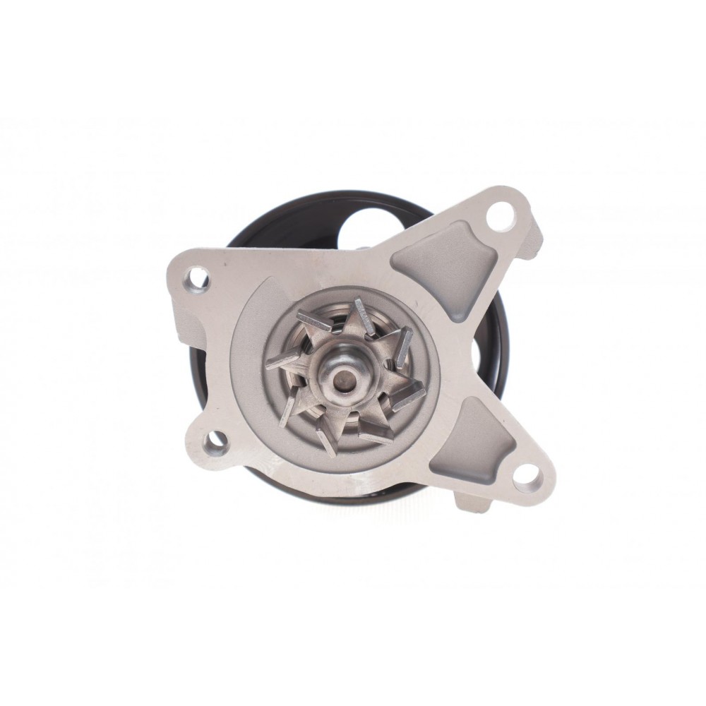 Помпа води Renault Laguna III/Megane III/Scenic III 07-15/Nissan X-Trail/Qashqai 2.0 16V 07-13