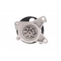 Помпа води Renault Laguna III/Megane III/Scenic III 07-15/Nissan X-Trail/Qashqai 2.0 16V 07-13