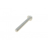 Болт важеля (переднього) BMW X5 (E70/F15/F85)/X6 (E71/F16) 06-18 (М14х1,5х100)