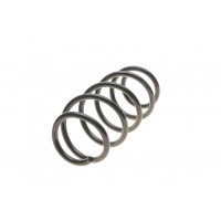 Пружина (передня) Opel Combo 01- (з пост. діам.)
