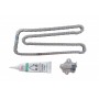 Комплект ланцюга ГРМ Citroen Jumper/Peugeot Boxer 2.2 HDi 06- (ланцюг INA)