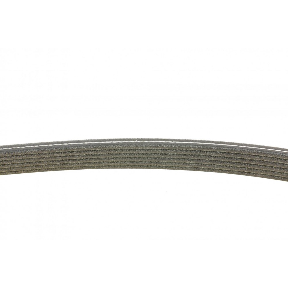 Ремінь генератора VW T5/Sharan 1.9/2.0TDI 00-10/VW Caddy 1.9TDI/2.0SDI 04-10/Seat Alhambra 00-10