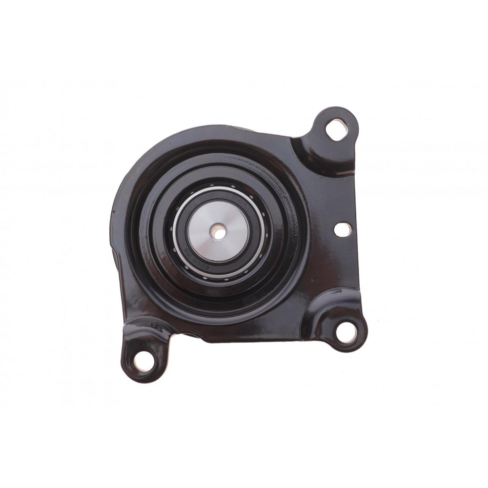 Натяжник ременя генератора Citroen Jumper 2.2HDI/Ford Transit 2.2DI 06- (+AC)