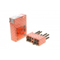 Комплект болтів головки циліндра ELRING 198.730