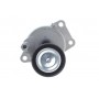 Натяжник ременя генератора Citroen C4/C5/Peugeot Expert 2.0 HDi 09-