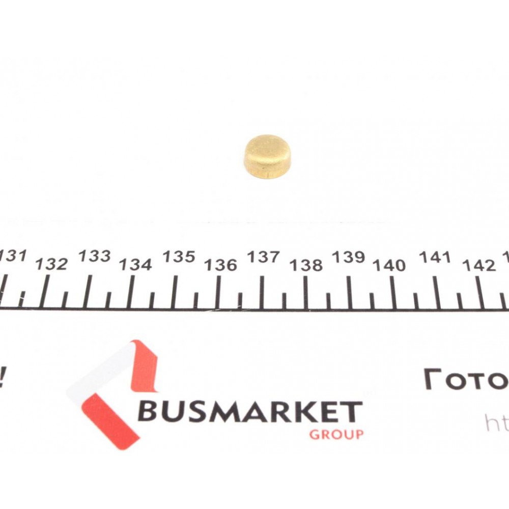 Заглушка блоку циліндрів (d=12mm) Латунь/Brass